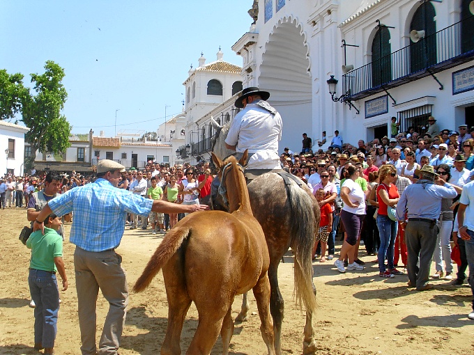 Imagen de la Saca de las Yeguas de 2012.