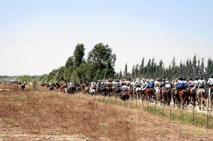 Los yeguerizos conducen al ganado hasta Almonte. / Foto: Juan José Diaz Sanchez (Asociación Fotógrafos de Almonte). 