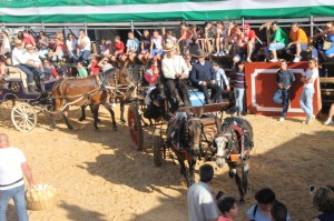 Los carreros también tuvieron su momento de esplendor con el paseillo.