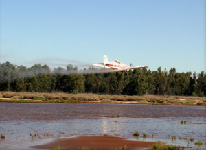 Uno de los aviones empleados para el tratamiento.