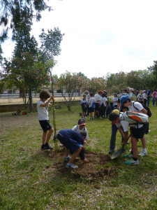 Un momento de la plantación de algarrobos en los jardines del Juan Ramón Jiménez.