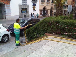 El mantenimiento del riego se hace indispensable para conservar el verdor de las plantas.