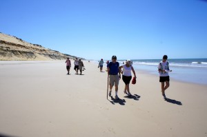 El festival incluye una ruta senderista por el entorno de Doñana. / Foto: cmisdeportes.blogspot.com