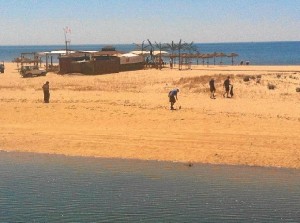 Operarios limpiaron la playa La Gaviota de Isla Cristina.