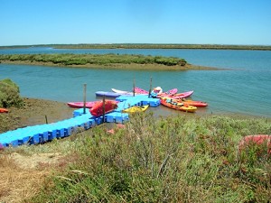 Las piraguas son una opción para recorrer el paraje.