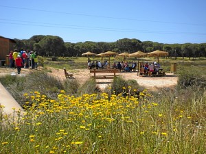 El centro cuenta con espacios para barbacoas y merendar con sombrillas y pérgolas.