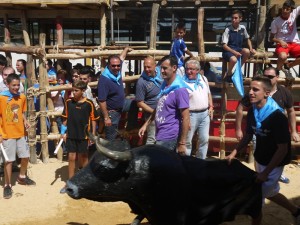 Los pequeños sanjuaneros han disfrutado de una simulación de encierro tradicional.