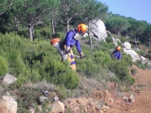 Trabajadores ejecutando trabajos preventivos.