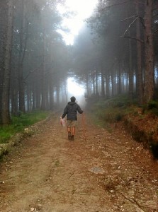 Durante el Camino han podido ver paisajes espectaculares. 