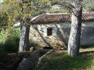 Molino de rodezno.