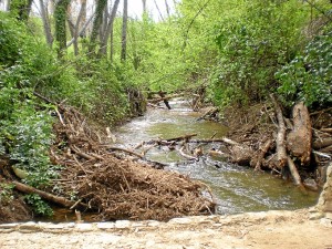 La ribera de Jabugo, alimentada por el río Múrtiga. / Foto: www.juntadeandalucia.es