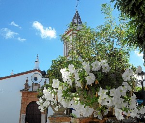 Actividades para la localidad serrana. 