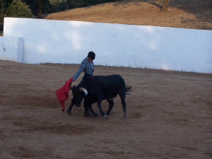 El torero Alejandro Conquero.