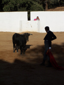 El diestro David de Miranda.