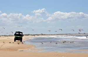 Huelva cuenta con nueve municipios perteneciente a la Comarca de Doñana.