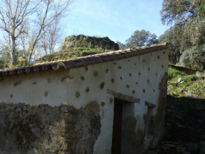 Edificio y cubo del Molino.