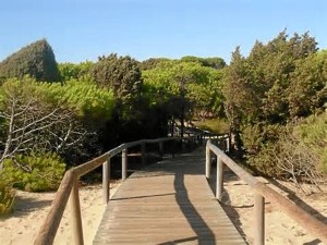 La playa de los Enebrales, un paraíso natural. / Foto: ehuelva.es.