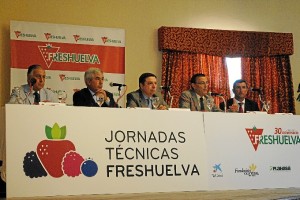 Luis Planas, durante inauguración de las Jornadas Técnicas de Freshuelva.