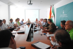 José Fiscal ha sido el encargado de presidir el Comité.