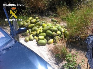 La fruta ha sido recuperada por la Guardia Civil.