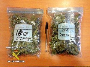 La marihuana incautada en Tharsis.