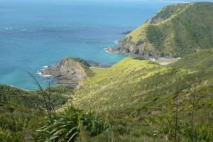 Imagen captada por Elisa durante un viaje a Cape Reinga, donde el Mar de Tasmania y el Pacífico se encuentran.