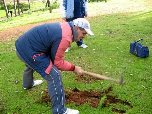 Actuación de Aspapronias en el Parque Moret.