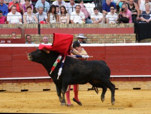 Alejandro Conquero. / Foto: Pedro Delgado. 