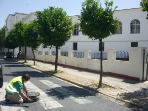 La campaña también ha tratado los pozos de cada una de las alcantarillas de la capital.