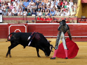 David de Miranda. / Foto: Pedro Delgado. 