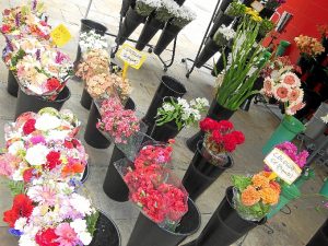 Los puestos del Mercado del Carmen ofrece una gran variedad de plantas y flores.