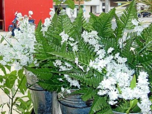 Para que una planta luzca bonita, es esencial su cuidado.