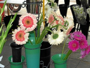 Las Margaritas son las flores más demandadas del verano.