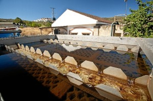 Gestión de Giahsa en la Sierra. 