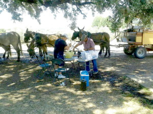 Cristóbal, con gorra y camisa de cuadros, habilitando la zona para comer