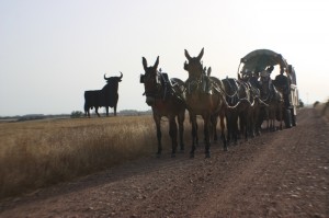 Una vez en Andalucía, los caminos cada vez iban siendo más conocidos por Cristóbal.