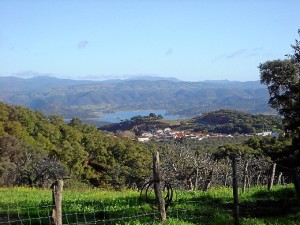 estos días están en marcha las actividades previstas de la Semana Cultural que enlazará con las Fiestas del Camino.