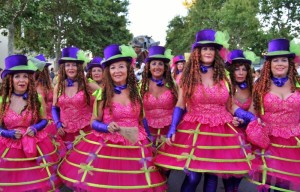 La Peña Carnavalera Las Jardineras, también participaron en el desfile