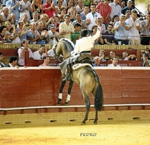 Andrés Romero agradeciendo el calor al coso de la Merced./ Foto: Pedro Delgado