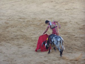 El torero local David Palanco.