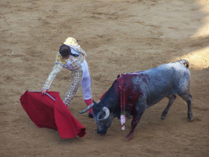 Joselito, con el toro de Buendía. 