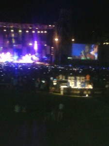 El concierto se ha celebrado en el Estadio Iberoamericano.