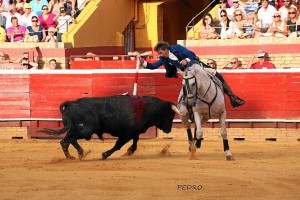 Hermoso realizó una gran faena en el primer toro de la tarde. / Foto: Pedro Delgado