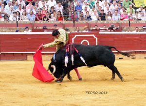 Perera salió de La Merced sin premio. / Foto: Pedro Delgado.