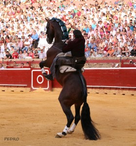 Diego Ventura regalo su tradicional espectáculo a caballo al público onubense. / Foto: Pedro Delgado