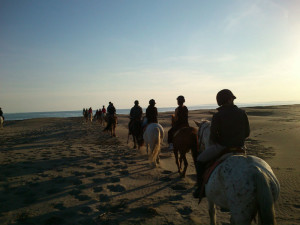 Paseo a caballo por las playas de la region, que en ciertos puntos recuerdan a las nuestras.