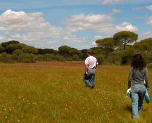 El principal objetivo de este grupo de investigación es la conservación de las Marismas de Huelva.