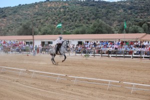 En este 2013 la Fegar acoge la final del XXXV Campeonato de Andalucía de Doma Vaquera.