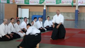 El aikido nació en Japón y es una disciplina deportiva que se encuadra en las artes marciales.