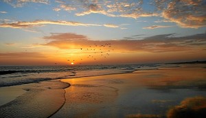 Las playas de Doñana. / Foto: playascalas.com.